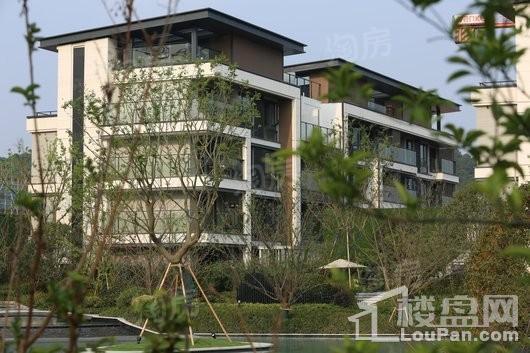 万科大溪谷实景图