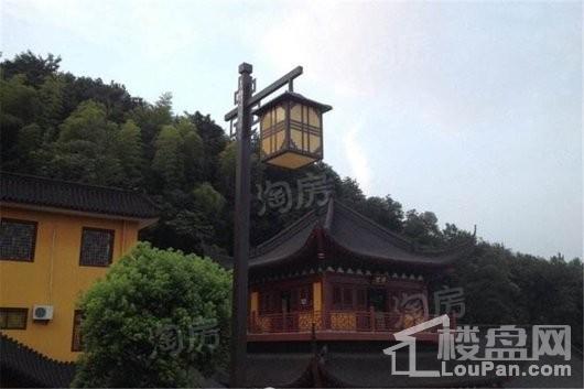 万科大溪谷配套图