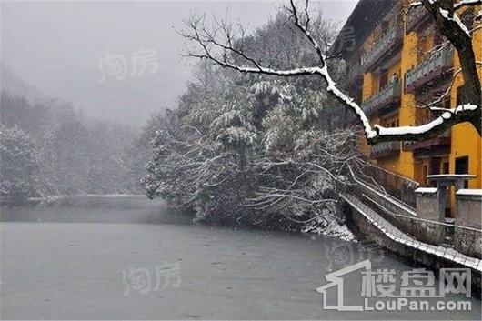 万科大溪谷配套图