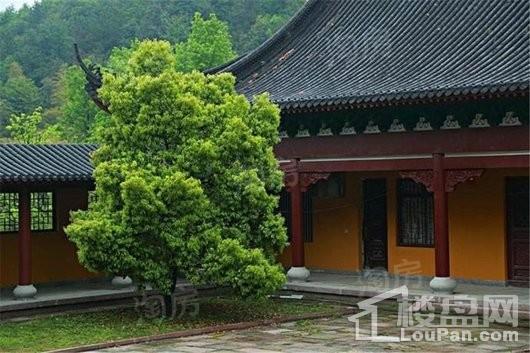 万科大溪谷配套图