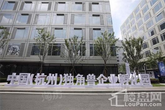 海伦堡棠锦配套图