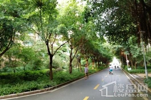 合生国际新城实景图