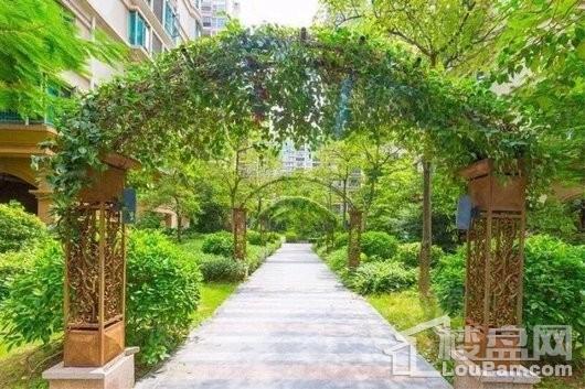 合生国际新城实景图