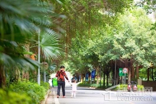 合生国际新城实景图