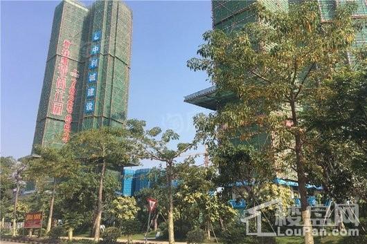 碧桂园珑尚花园实景图