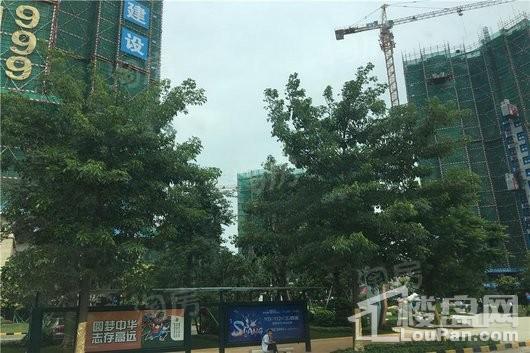 实景图