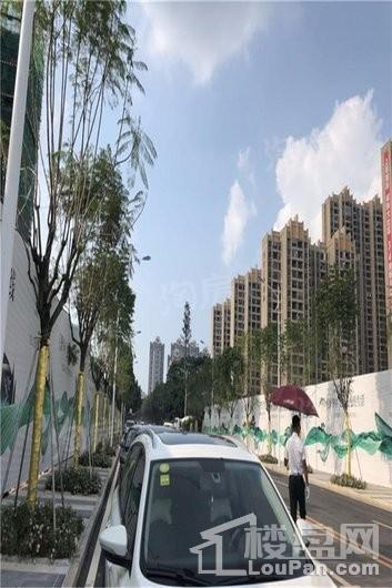 新城·鹿江风华实景图