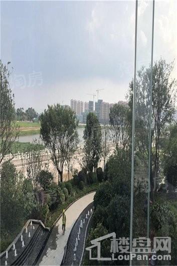 新城·鹿江风华实景图