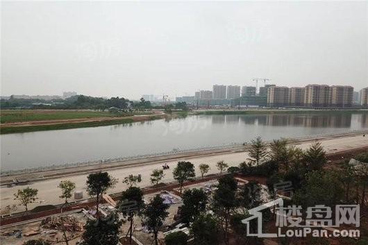 新城·鹿江风华配套图