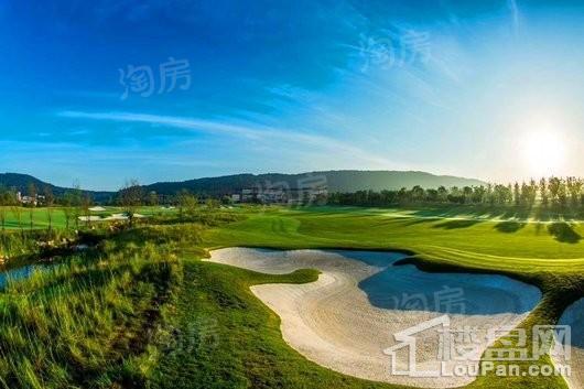 龙光天禧实景图