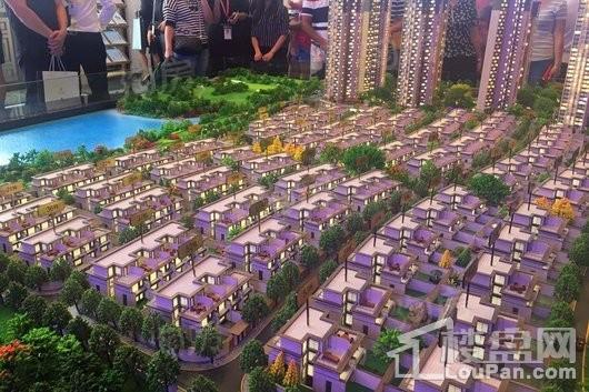 实景图