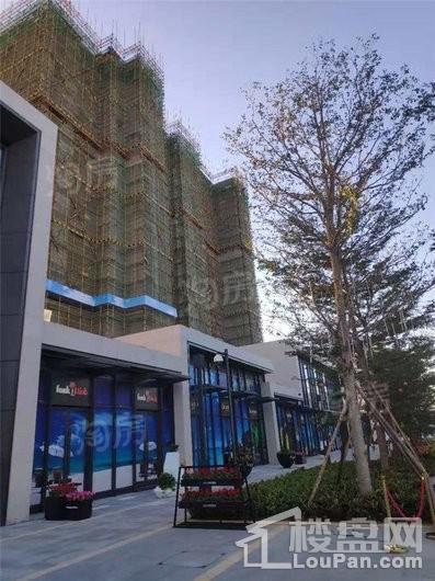 新力蓝湾实景图