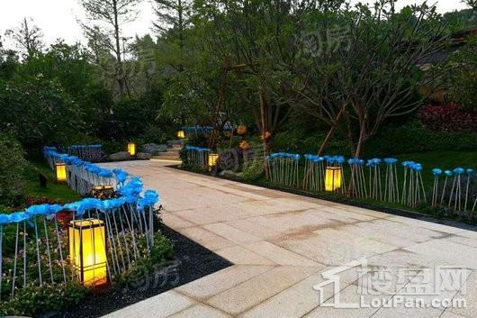 蓝光雍和园实景图