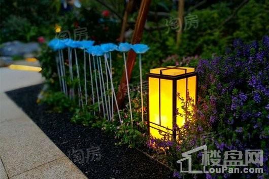 蓝光雍和园实景图