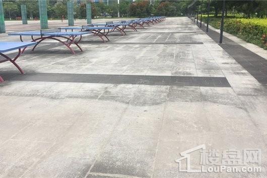 领地蘭台府配套图
