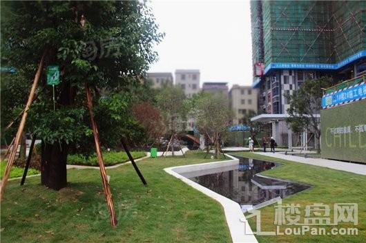 华廷悦府实景图