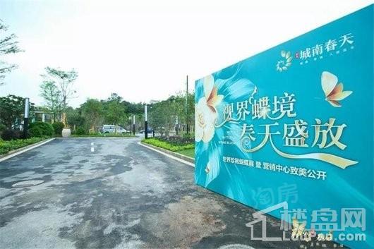 城南春天实景图
