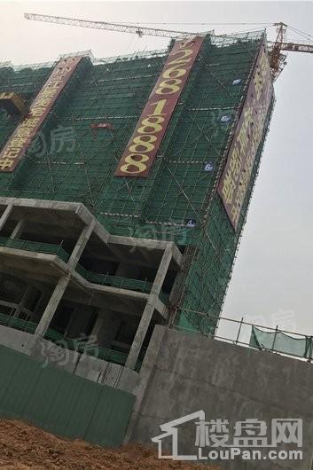 水岸丽都实景图