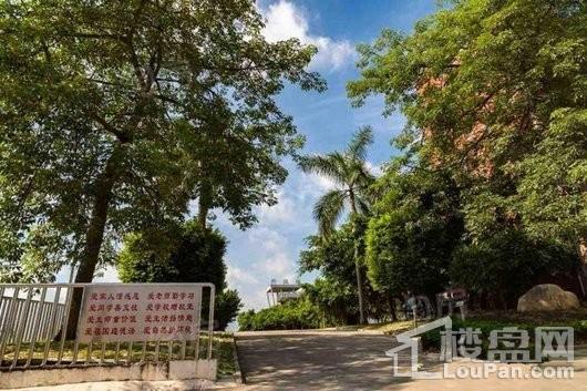 奥园冠军城配套图