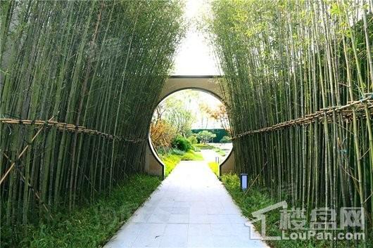 蓝山颐景园实景图