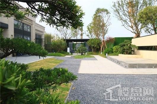 蓝山颐景园实景图