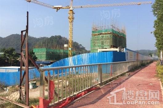 海伦堡十里东江实景图