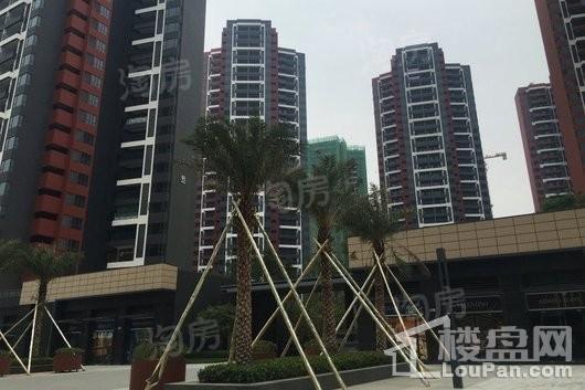 中海水岸城花园实景图