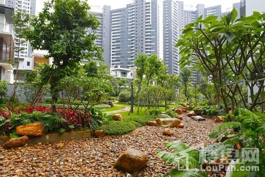 中海水岸城花园实景图