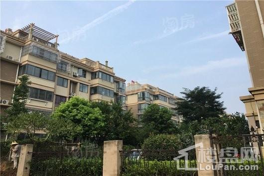兰若岭秀实景图