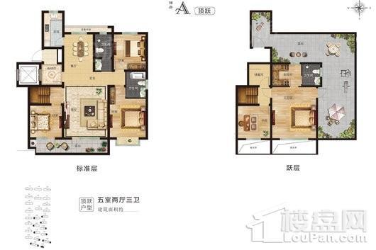 户型图片