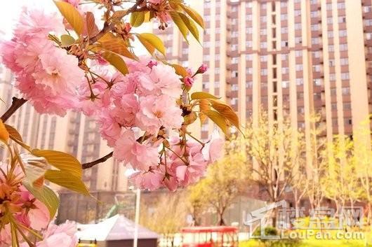 恒弘城博望府实景图