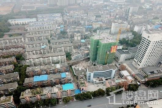 实景图