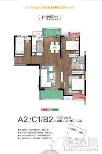 天纵御府A2-C1-B2-107㎡-322 3室2厅2卫1厨