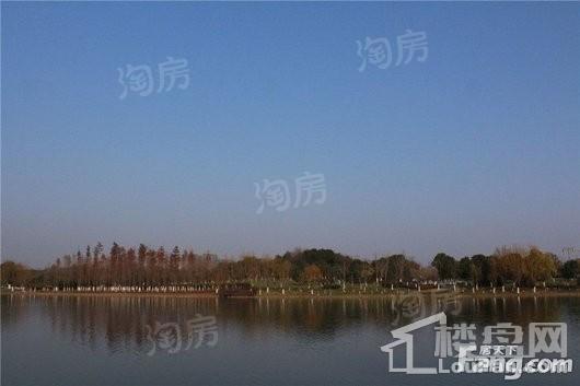 绿地天空树配套图