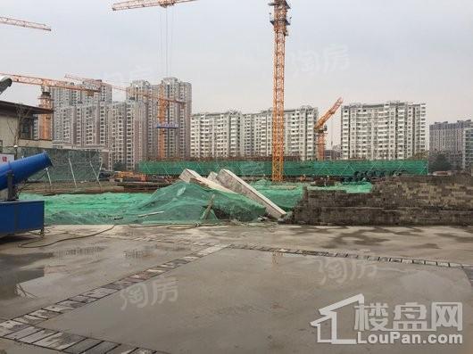 路劲梅都府实景图