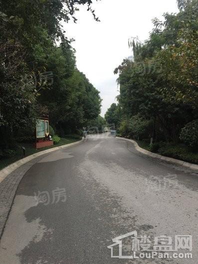 无锡公园悦府实景图