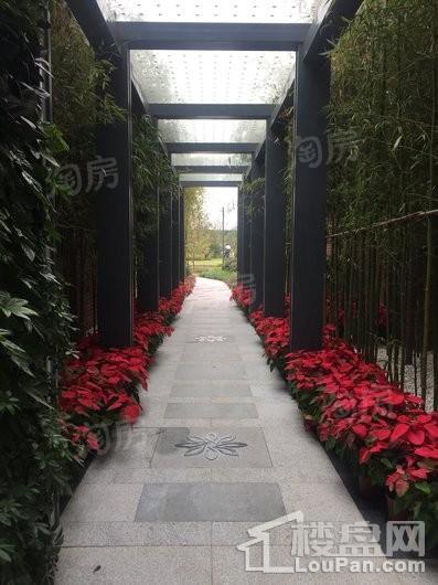 无锡公园悦府实景图