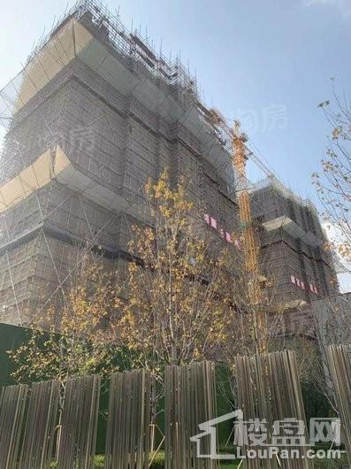 万科翡翠东方实景图