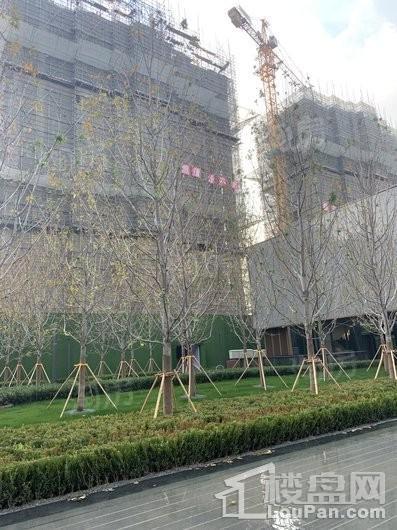 万科翡翠东方实景图