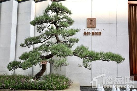美的国宾府实景图