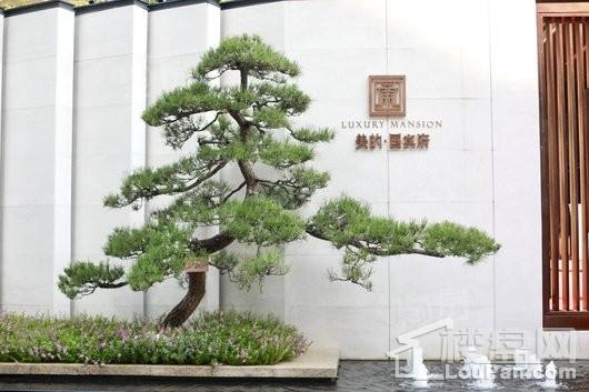 美的国宾府实景图