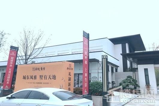 吴樾东方实景图