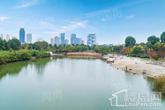 龙湖天宸原著配套图