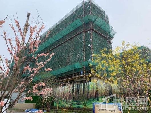 宝龙世家实景图