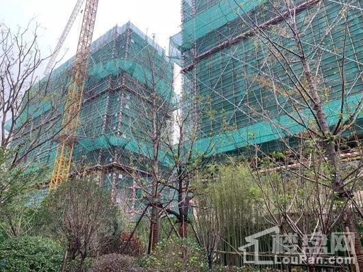 宝龙世家实景图