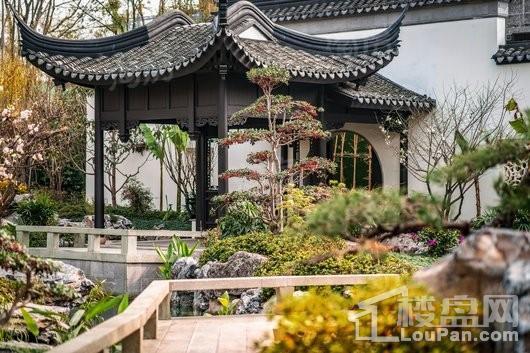 建发玖里湾实景图