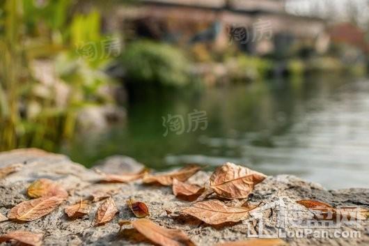 建发玖里湾实景图