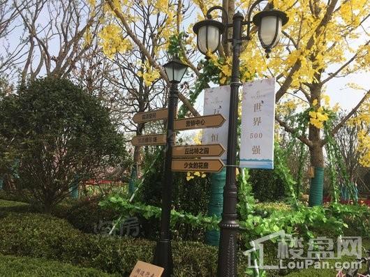 宜兴恒大花溪小镇实景图
