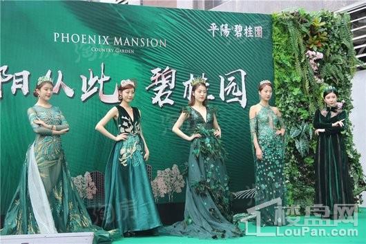 平阳碧桂园实景图