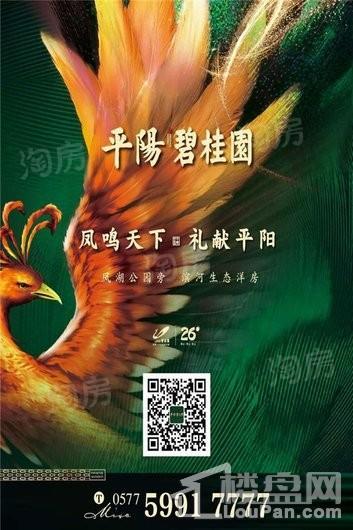 效果图